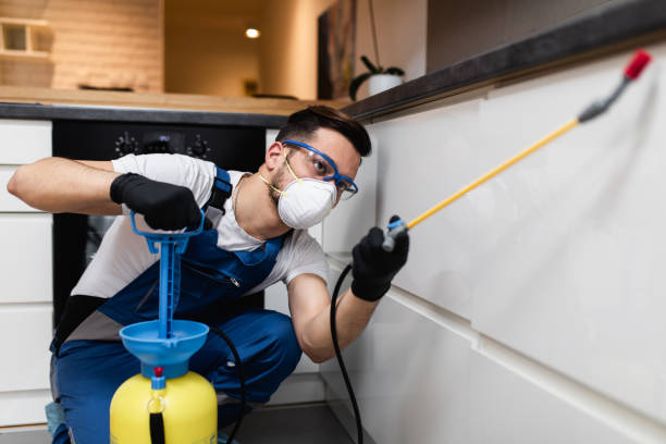 Best Affordable Pest Control Services  in Mathews, LA