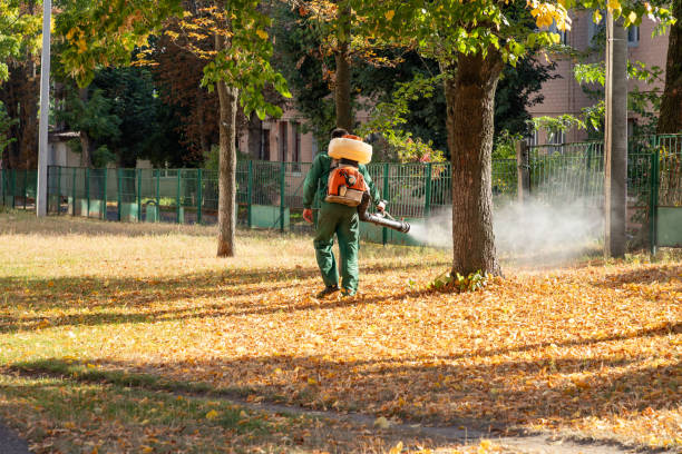 Best Pest Control for Restaurants  in Mathews, LA