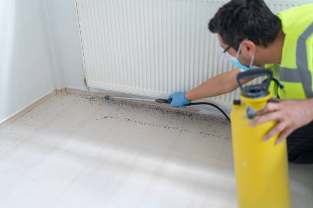 Best Pest Control Near Me  in Mathews, LA